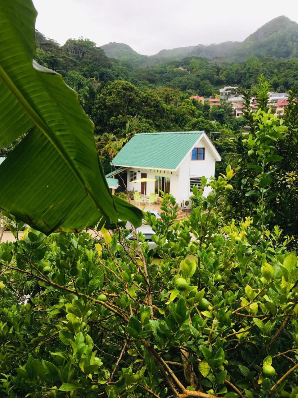 Loversnest Self Catering Anse aux Pins Exterior foto